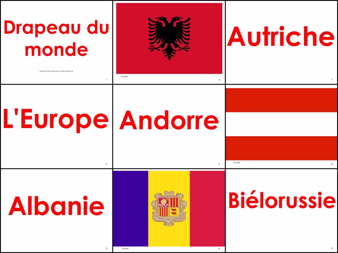 World Flags in French. DIGITAL DOWNLOAD. Preschools Toddlers. Etsy
