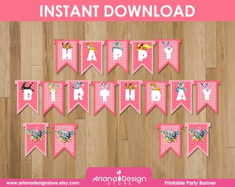 Evolutions Pink Birthday Banner | Evolutions Pink Party Banner for Girls | Evolutions Pink Printable Decoration