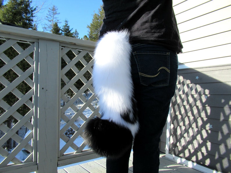 May include: A black and white faux fur tail with a long, fluffy white tip. The tail is attached to a person's waist.