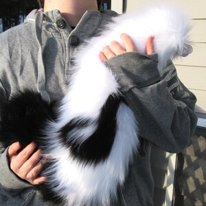 May include: A person is holding a black and white fluffy tail. The tail is long and has a black tip. The person is wearing a gray sweatshirt.
