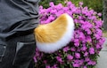 Any Color Perky Deer Bunny Tail - Fluffy Furry Nub Puppy Therian Cosplay Fursuit Tail