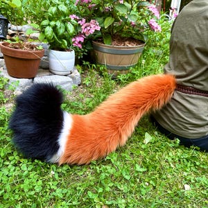 May include: A faux fur tail in black, white, and orange, lying on green grass. The tail is attached to a person wearing a green shirt and blue jeans. The tail is a costume accessory.