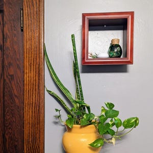 May include: A yellow ceramic pot filled with green plants sits on a wooden stand. The plants include snake plants and pothos. A small, square, red-brown shelf on the wall holds a small green bottle with a cork stopper.