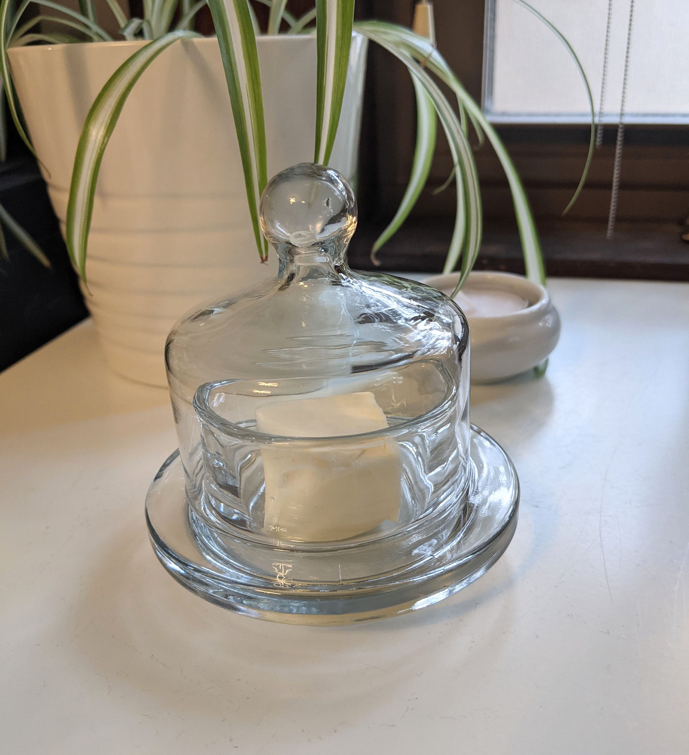 Small Clear Glass Butter Bell Cloche Glass Dome Jelly Butter Etsy
