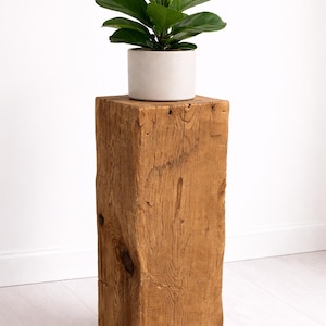 Puede incluir: Una pequeña planta en maceta con hojas verdes grandes se encuentra sobre un pedestal de madera alto y envejecido. El pedestal es un bloque de madera natural y rectangular, con vetas y nudos visibles, que muestra una estética rústica. La maceta es de color gris claro.