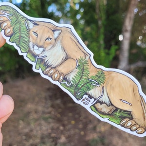 Van "cougar" eiland - sticker