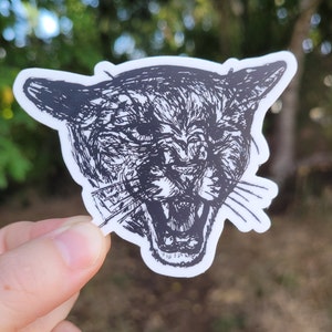 Cougar Growl - Sticker