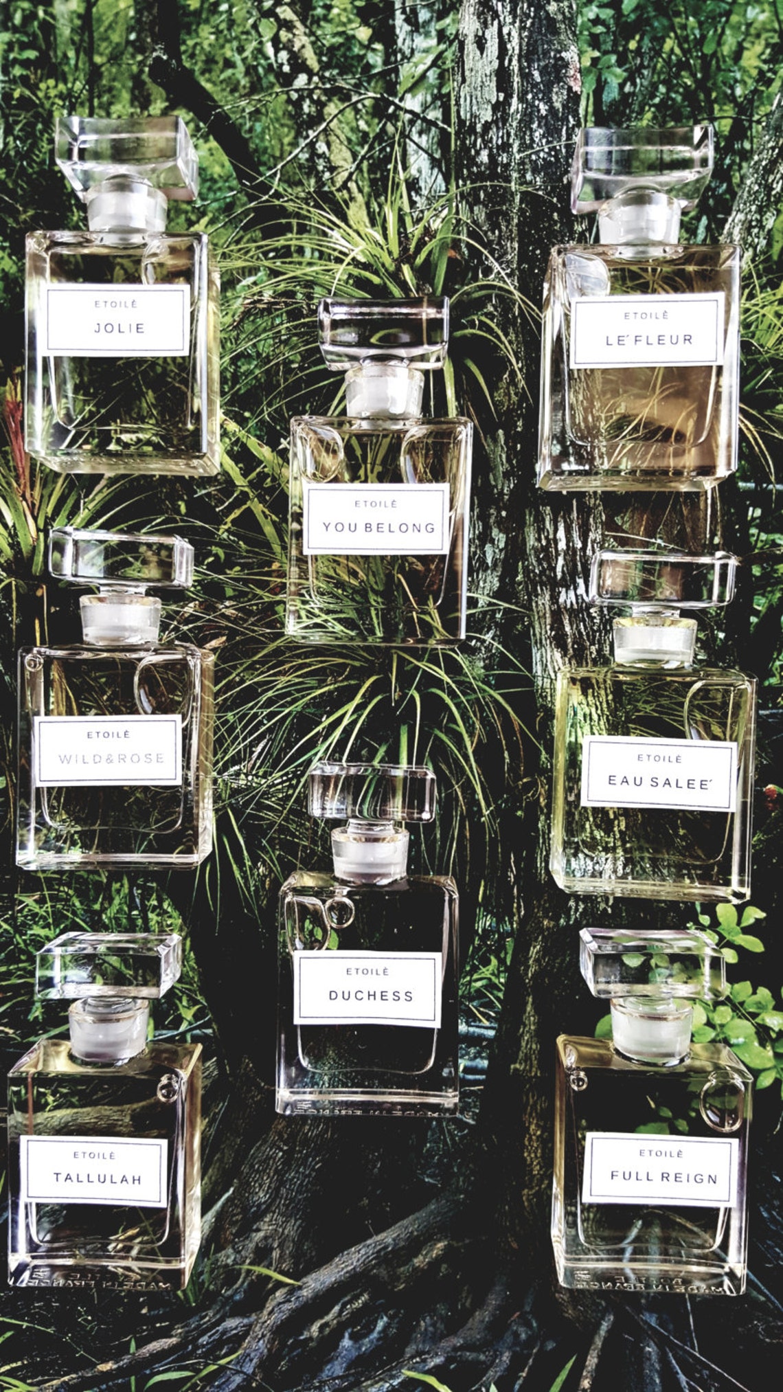 Wild & Rose Perfume Oil.. A Romantic Interpretation of Wild Etsy