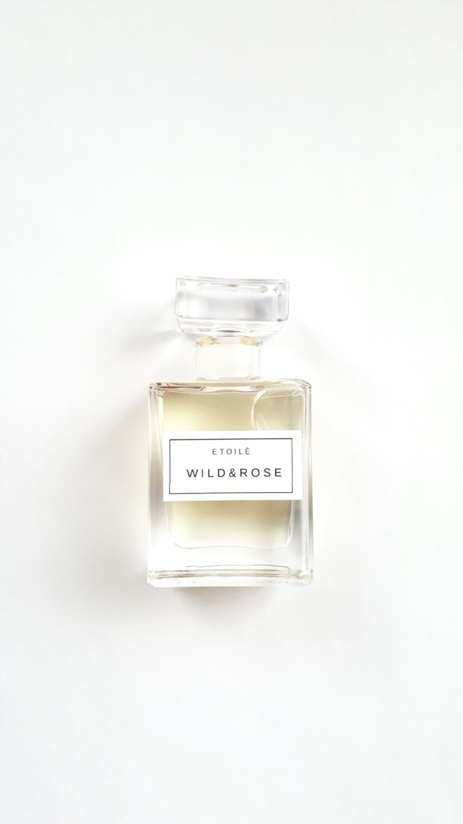 Wild & Rose Perfume Oil.. A Romantic Interpretation of Wild Etsy