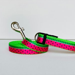 Watermelon Fun  3/4” Dog Collar, Leash, or Collar & Leash Set