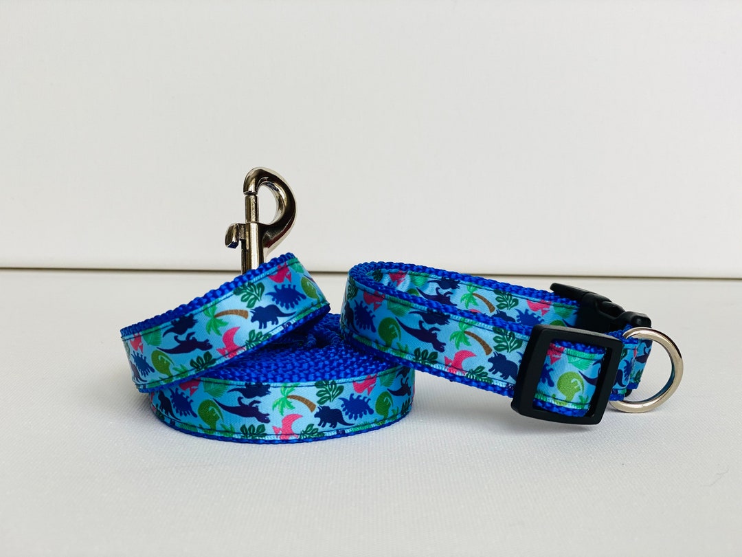 Dinosaurs on the Loose 3/4 Dog Collar Leash or Collar Etsy