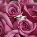 Owner of <a href='https://www.etsy.com/shop/WeddingDesigns2Love?ref=l2-about-shopname&from_page=listing' class='wt-text-link'>WeddingDesigns2Love</a>
