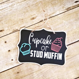 May include: Black chalkboard sign with white text and a blue and pink cupcake graphic. The sign reads "Cupcake or Stud Muffin".
