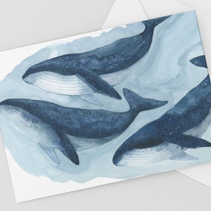 Carte cosse baleine à bosse, aquarelle