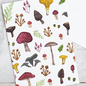 Carte champignon, aquarelle botanique