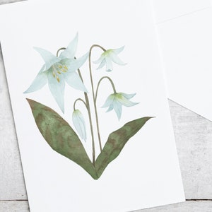 White Lily botanical watercolor painting printed onto a white card. Image is centred on a white cardstock background. White envelope rests below the card.