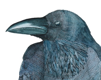 Raven Art Print, Watercolour Bird Painting
