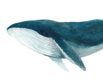 Humpback Whale Art Print, Watercolor Ocean Painting