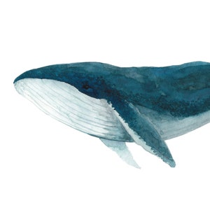 Humpback Whale Art Print, Watercolor Ocean Painting