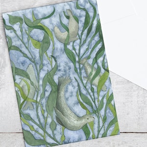 Carte de phoques nageant avec varech, peinture à l'aquarelle