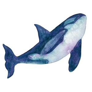 Orca Whale Art Print,  Watercolour Ocean Painting