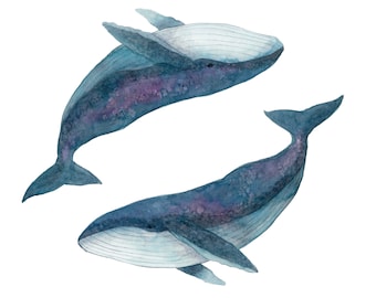Humpback Whales Art Print, Watercolour Ocean Painting