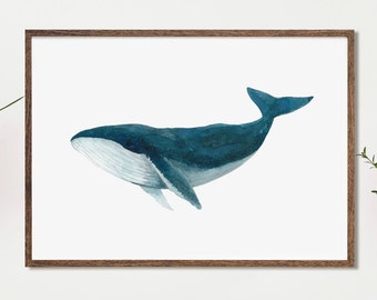 Humpback Whale Watercolour Art Poster