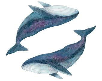 Humpback Whales Art Print, Watercolour Ocean Painting