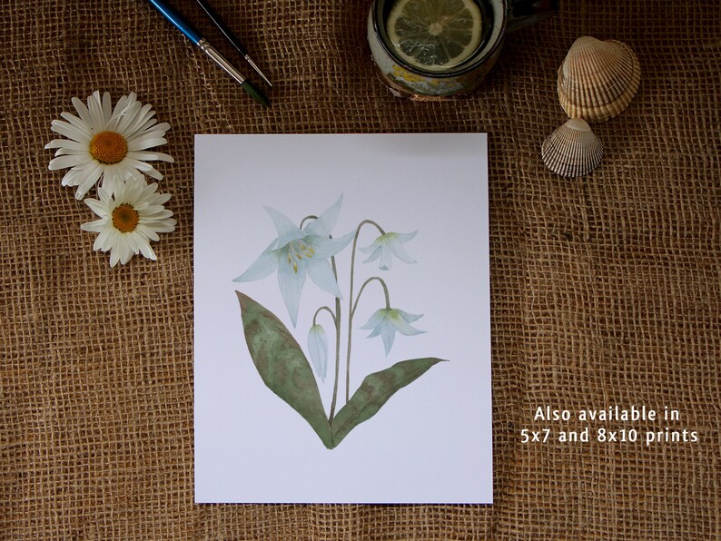 White lily botanical watercolour painting is also available as an art print. Flat lay of print on a burlap brown table cover.