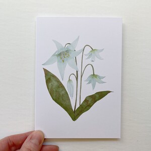 Four white blooms on a Lily botanical watercolor painting printed onto a white card. Image is centred on a white cardstock background. Single card held on a white background.