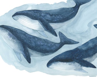 Humpback Whale Pod Art Print, Watercolour Ocean Painting