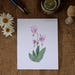 A watercolour print of three pink bloom flower. Colours include pink, yellow, orange, brown and green. The background is white. The vertical print rests on a dark table.