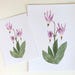 Both the 5x7 and 8x10 watercolour art prints of a pink blossom shooting star flower are laying on a white backdrop.