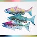 A watercolour print of three Salmon shapes in silhouette form with images of trees, waves and triangles inside. Colours include light blue, teal, pink, orange green and yellow. The background is white. The horizontal print is on a bright background.