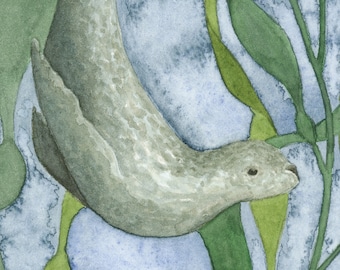 Seal and Kelp Watercolour Art Print