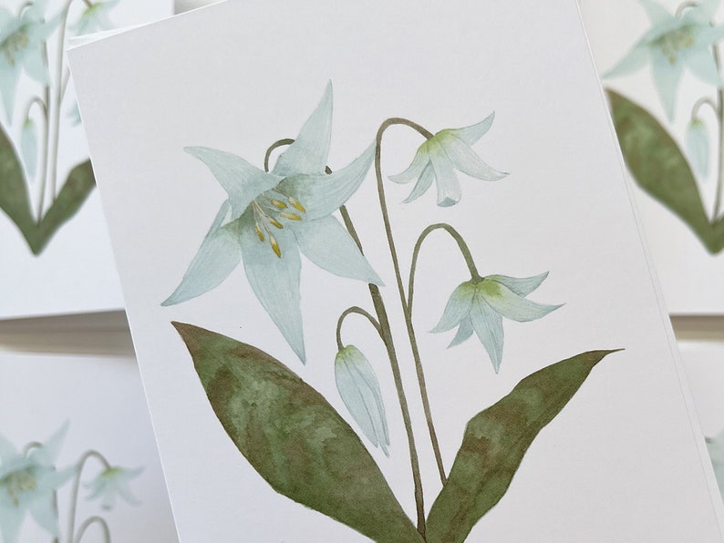 Fawn Lily botanical watercolor painting printed onto a white card. Image is centred on a white cardstock background. Close detail of the card in foreground, multiples of same card in background.