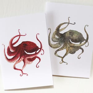 Carte de poulpe, peinture à l'aquarelle