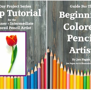 Może przedstawiać: Okładka książki z ilustracją czerwonego tulipana i tytułem "Tulip Tutorial: One Day Project Series for the Beginner - Intermediate Colored Pencil Artist". Okładka zawiera również rząd kolorowych ołówków.