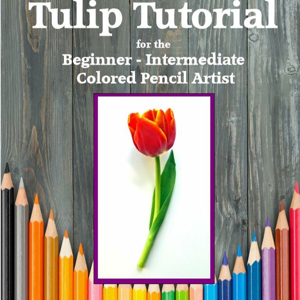 Kunst Tutorial, Florale Kunst, Geschenk für Künstler, Botanische Kunst Tutorial, Buntstift Geschenk, Zeichenstunde, Buntstift Zeichnung, Prismacolor