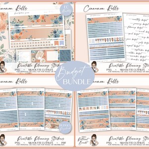 Printable Erin Condren Monthly Budget Bundle | Budget Planner Stickers | Finance Kit | Silhouette Cutfiles PDF | Cricut PNG | Cinnamon Rolls