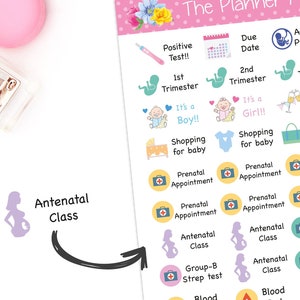 Pregnancy Milestone Countdown Stickers Baby Planner Reminder Doctor ...