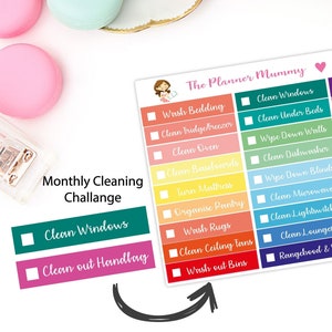 MONTHLY CLEANING clean Tidy Cleaning housework spray clean Reminder Planner Stickers Organiser Diary Challenge