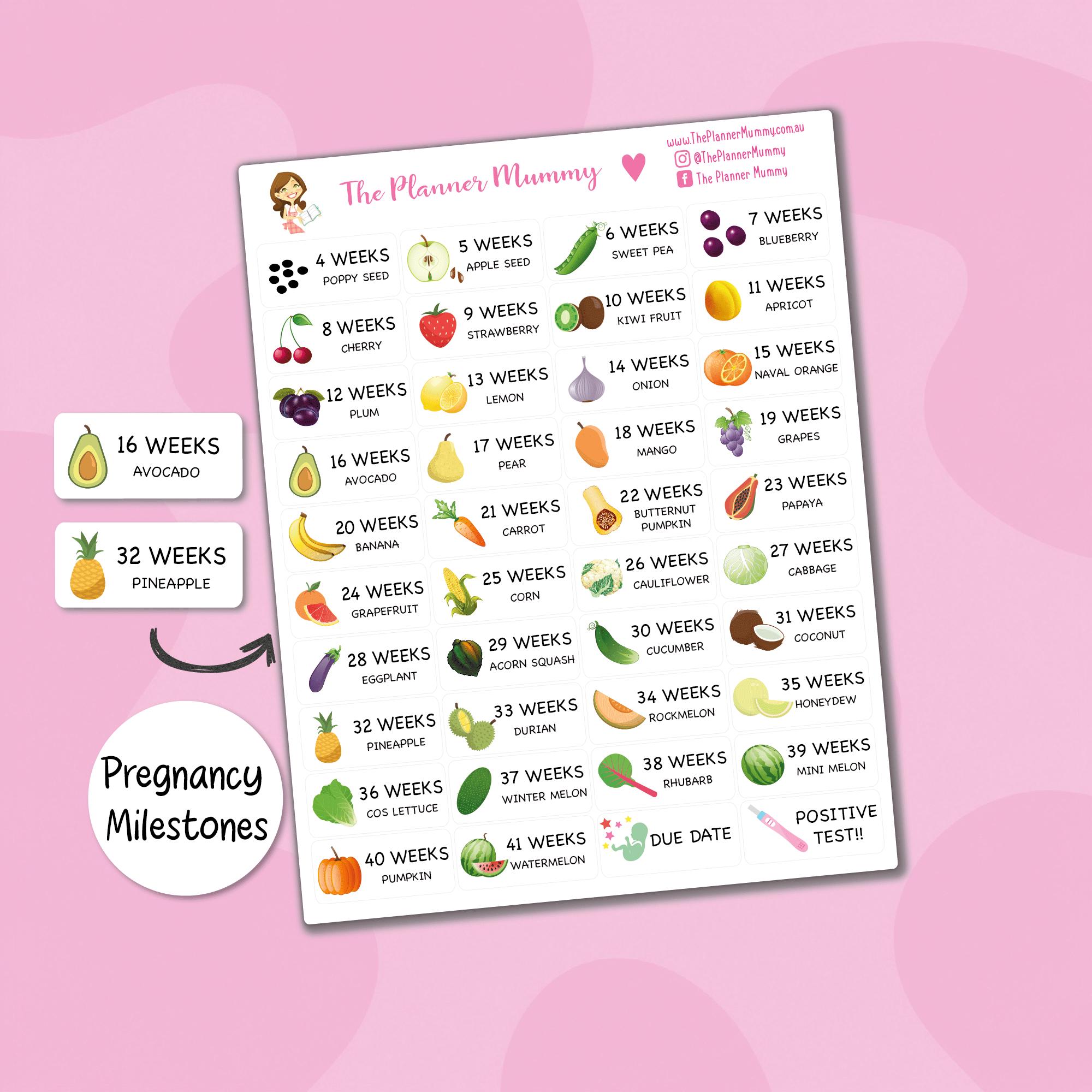 Pregnancy Countdown Stickers Baby Planner Reminder Doctor Appointments ...