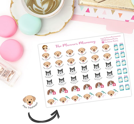 puppy worming schedule uk