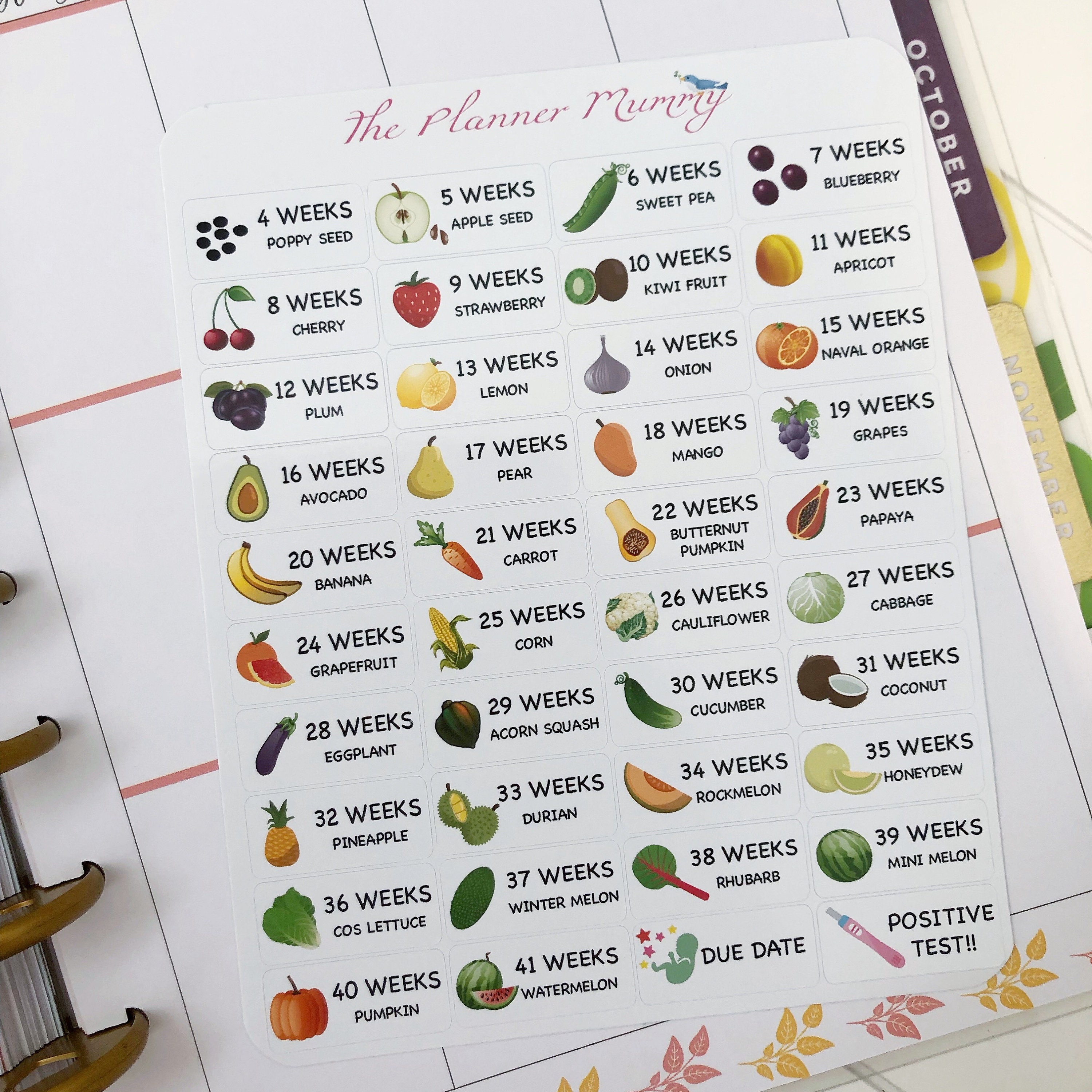 Pregnancy Countdown Stickers Baby Planner Reminder Doctor Appointments ...