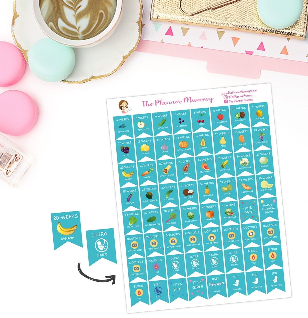 Baby Milestone & Reminder Planner Stickers Doctor Appointments Vaccine ...
