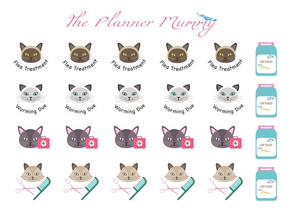 cat flea grooming