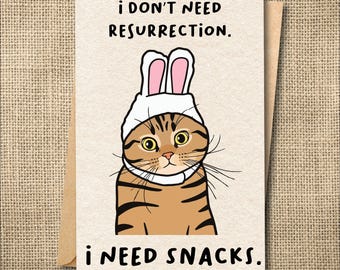Cat Easter Cards: Funny Holiday, Bunny Ears