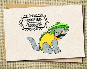 Taco Cat Card | Funny Cat Pun Greeting, Cat Lover Gift