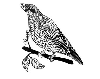 Songbird - Original Lino Print, Limited Edition, Bird, Artwork, Printmaking, Relief Print, Linocut, Printmaker, Printmaking